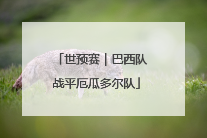 世预赛｜巴西队战平厄瓜多尔队